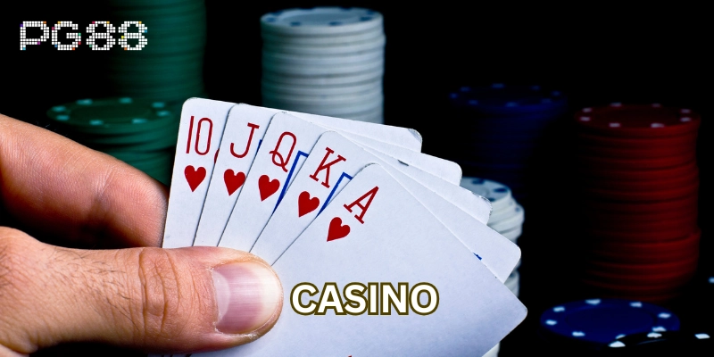 Casino Casino rất đa dạng và phong phú