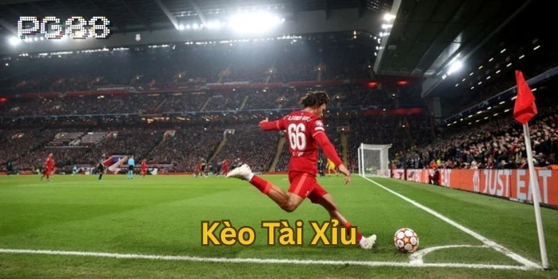 Kèo Tài Xỉu Là Gì? Hiểu Đúng Để Soi Kèo Thông Minh Hơn Kinh nghiệm chơi Kèo Tài Xỉu
